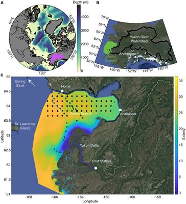 The Impacts of Freshwater Input and Surface Wind Velocity on the Strength and Extent of a Large High Latitude River Plume